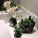 IMG-20180507-WA0105_1525725393303