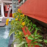 WhatsApp Image 2021-12-17 at 09.53.12 (1)